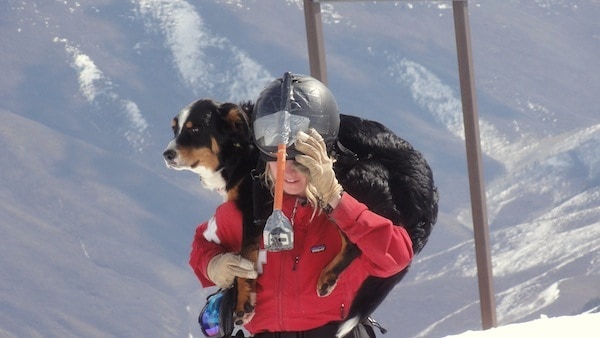 Snow Dogs | Welove2ski