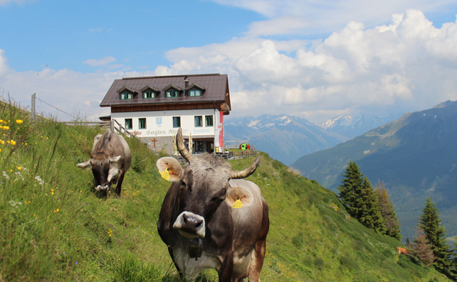 7 Ways to Get Active This Summer in the Tirolean Alps | Welove2ski