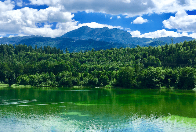 Alpbach Summer | Welove2ski