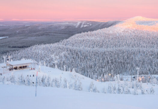 a pink sky over snow covered trees - magical picture of a ski area