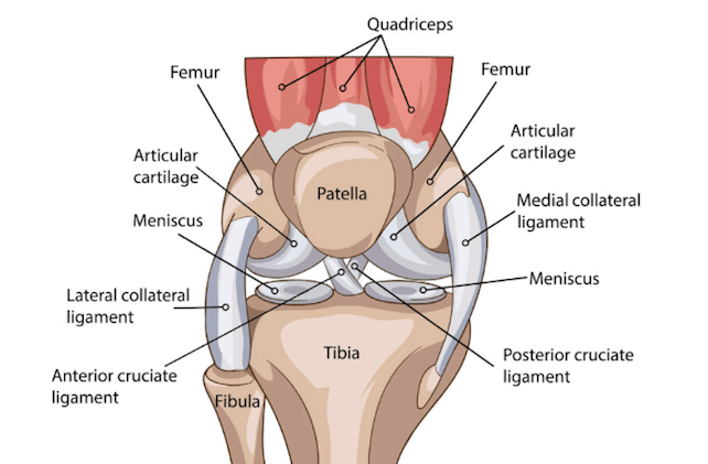 Knee Pain | Welove2ski