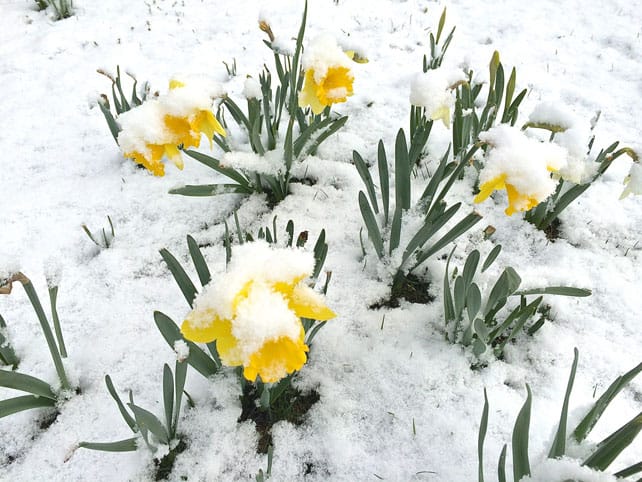 Snow Report, March 27 | Welove2ski