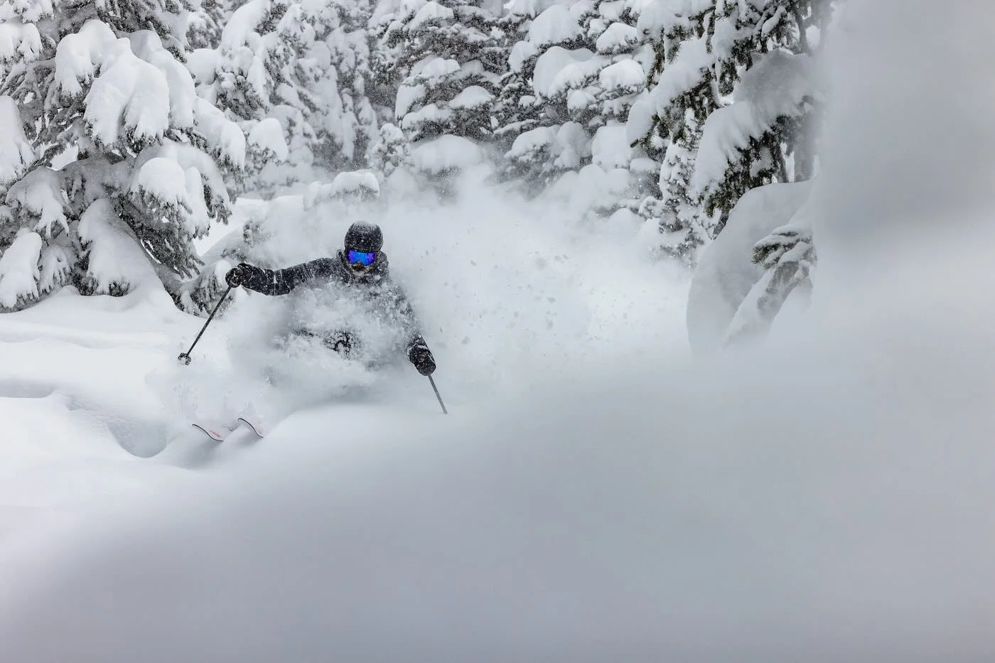 a skier with a snow-filled bear skis beautiful deep snow in the alpine