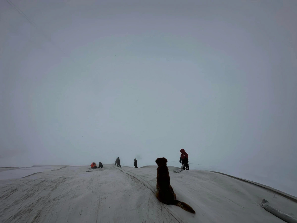 a gloomy scene with the silhouette of a dog sitting on matting covering a glacier