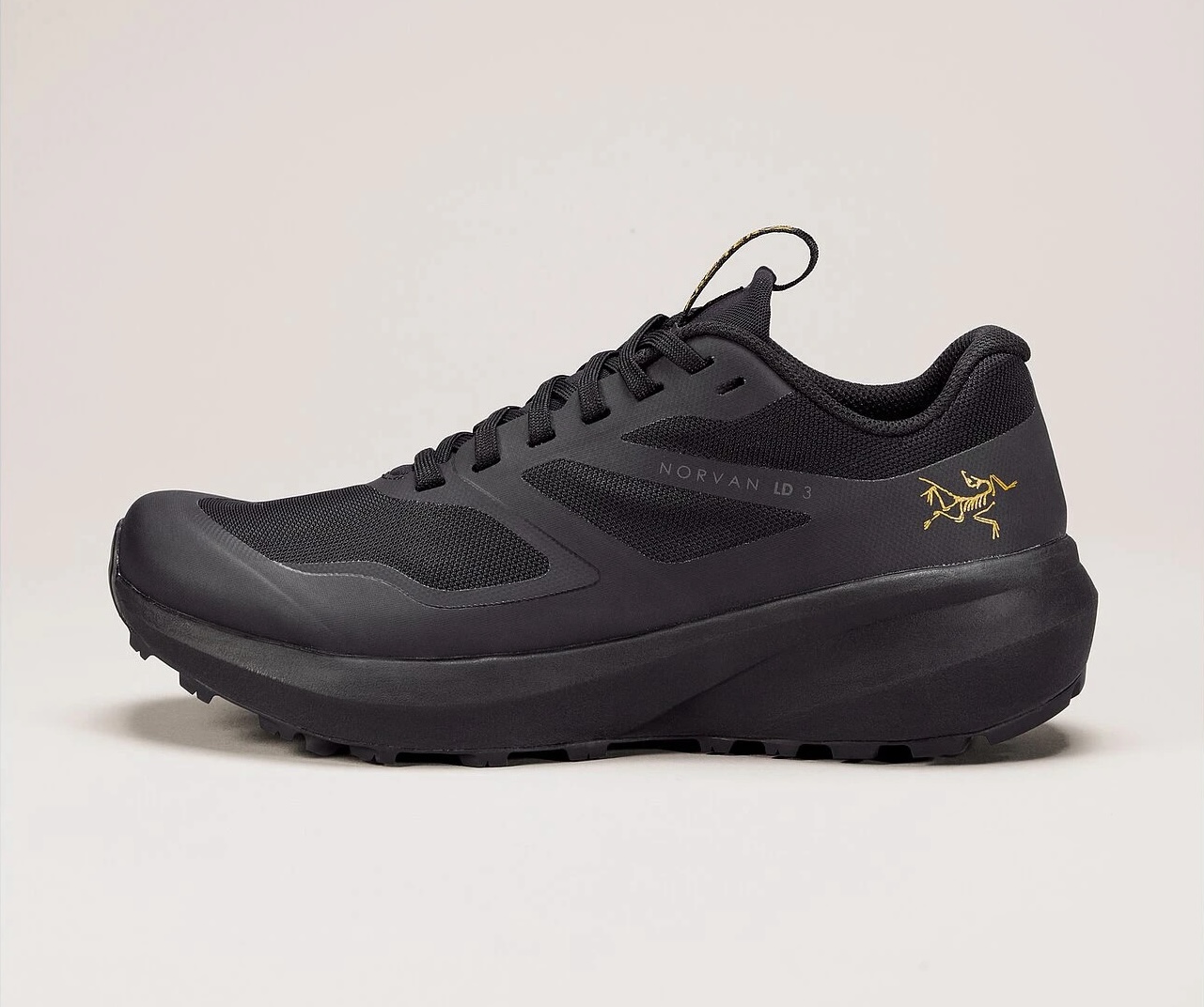 Arcteryx mens shoes best sale