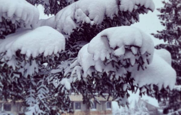 Snow Report, February 25 | Welove2ski