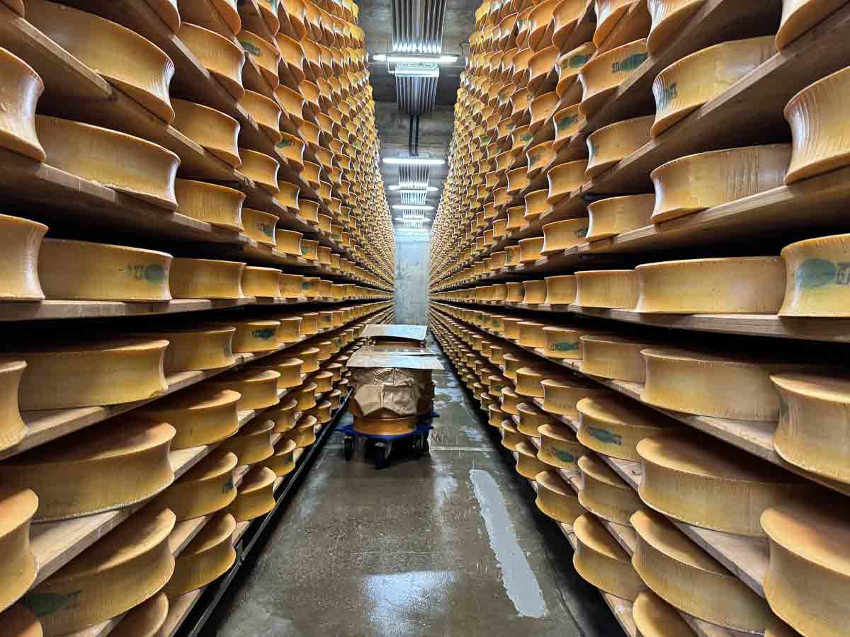 wheels of cheese in a store, stacked on shelves to the ceiling