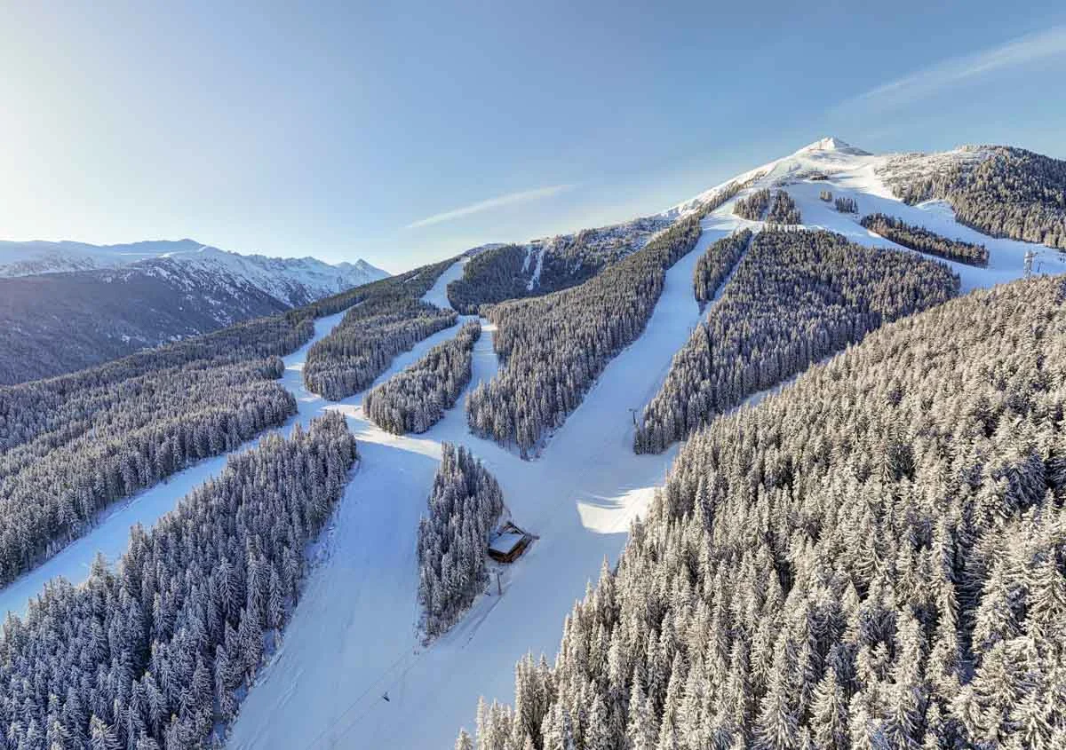 aerial shot of ski runs cut into alpine