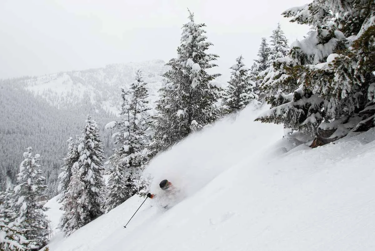 a skier travels through deep snow between the snow-laden trees
