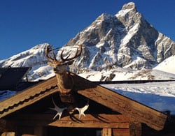 Haute Cuisine: The Best Mountain Restaurants in The Alps | Welove2ski