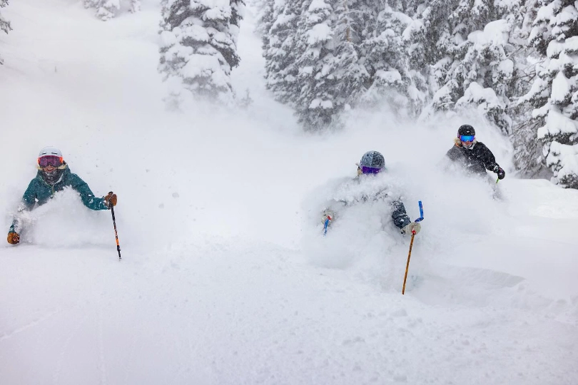 three skiers in deep pow