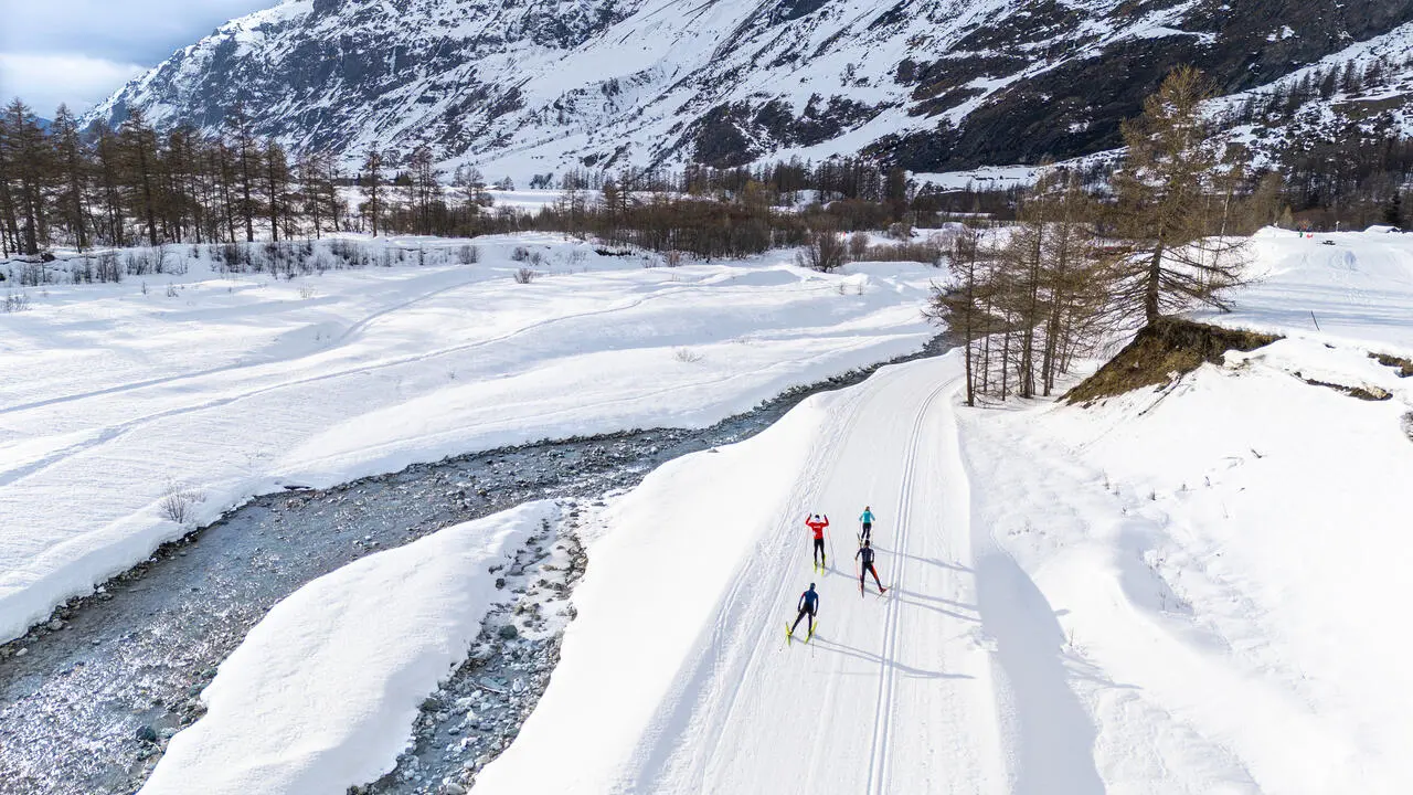 four cross-country skiers on course in a beautiful snowy setting