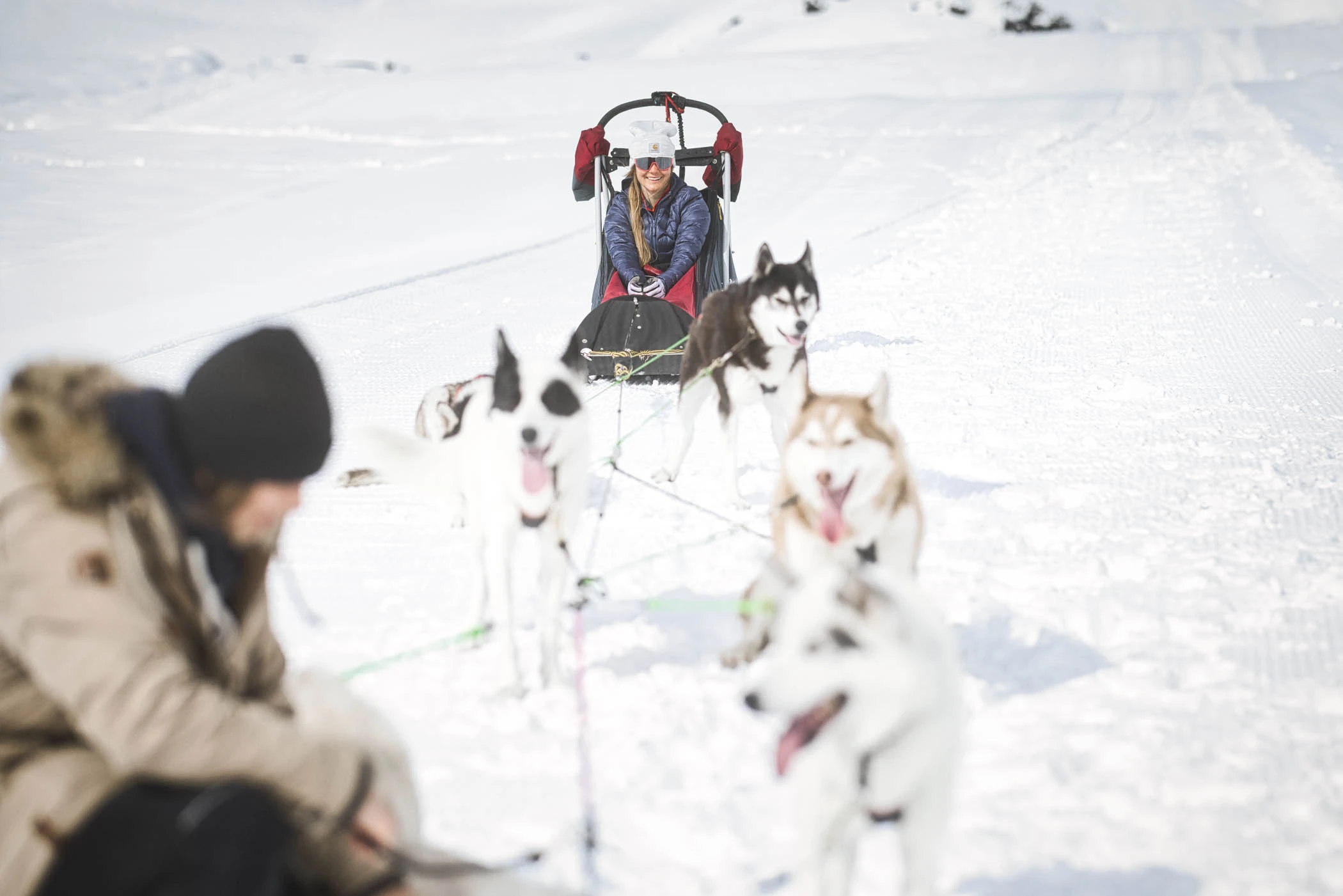 woman smiles pulled on a husky sled