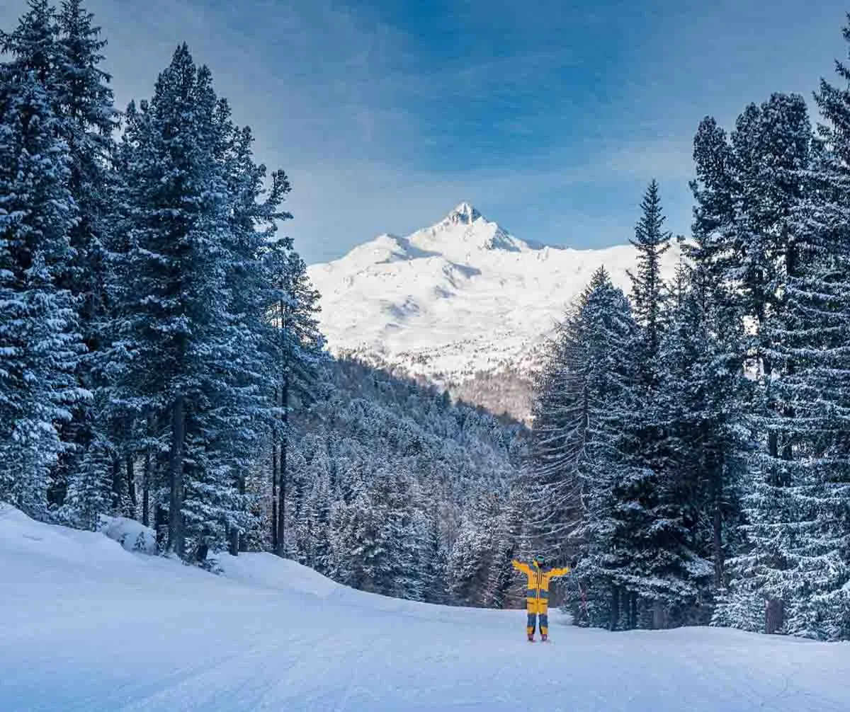 skier in yellow, arms out, surrounded by trees dusted in snow, a pointed peak in the background