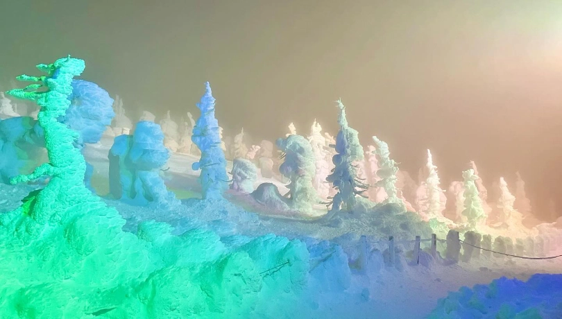 Japanese snow monsters (trees caked in snow) under green and blue lights