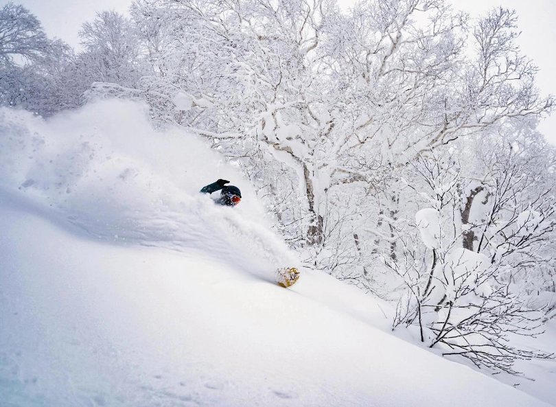 fresh snow in Japan, a snowboarder (we assume, seeing as the only visible thing of rider is an empty hand above snow spray, rides through the trees