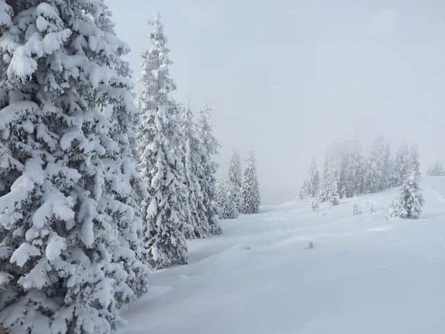 Snow Report, January 1 | Welove2ski