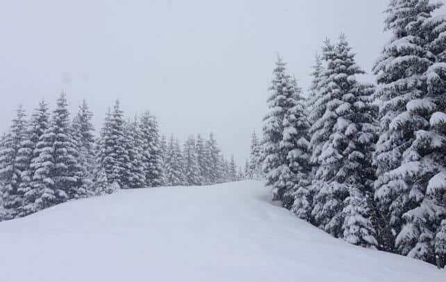 Snow Report, March 24 | Welove2ski