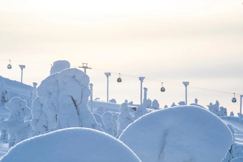 snow monster trees, with an in-the-distance lift line looking very beautiful silhouetted against a pastel sky