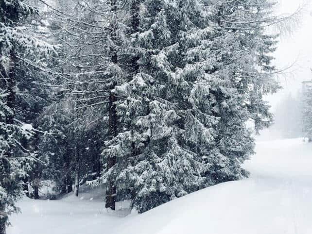 Snow Report, February 23 | Welove2ski