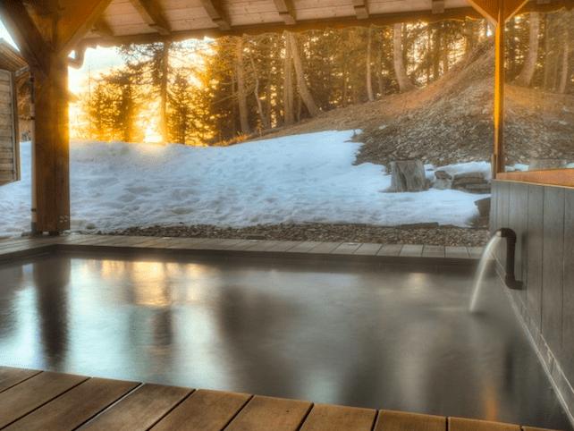 Luxury Chalets | Welove2ski