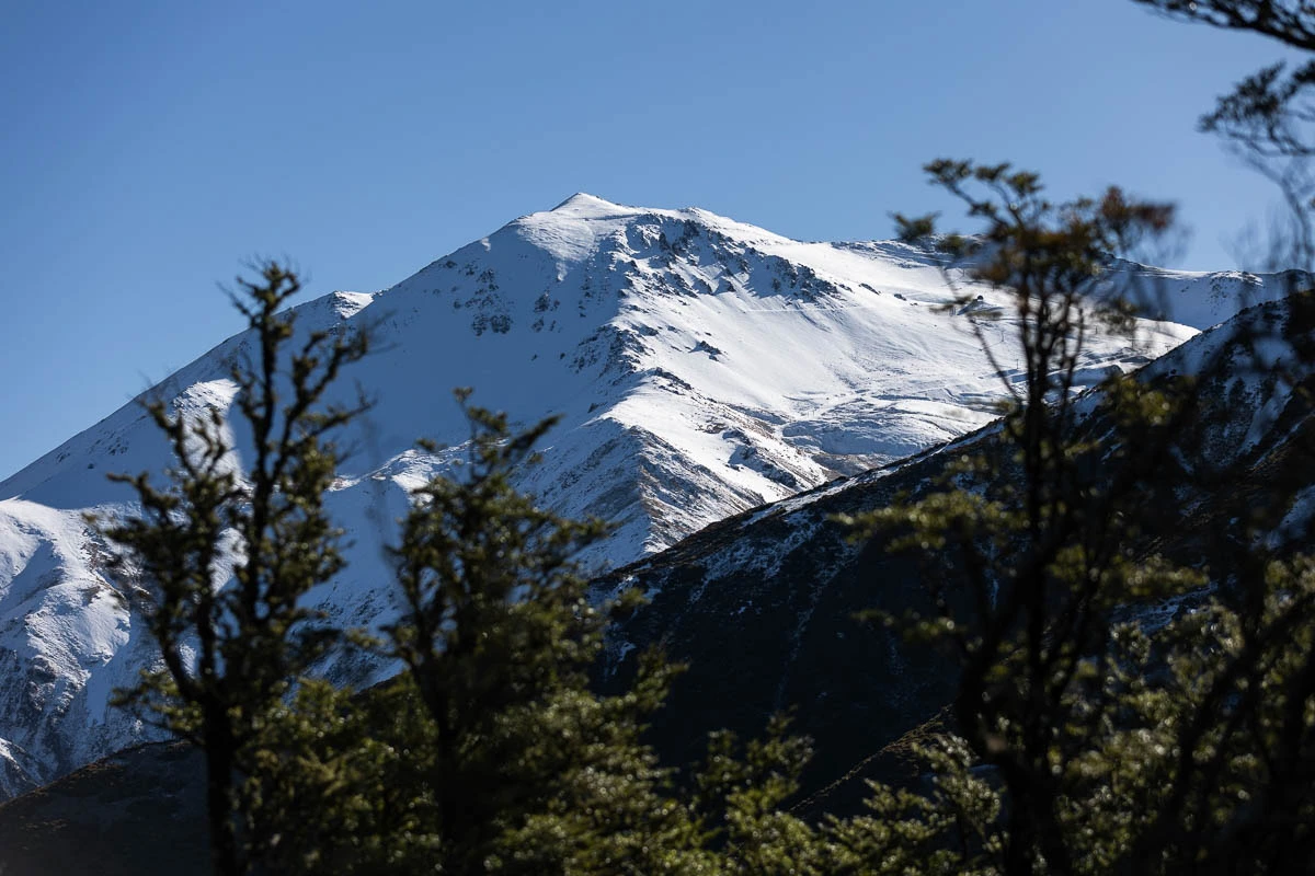a snowy mountain pictured behind a less snowy ridgeline, with green trees blurred in the foreground
