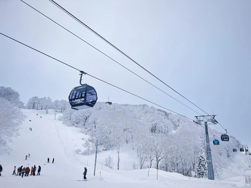 blue gondolas travel over a piste, surrounded by snow-covered birch trees