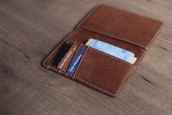 Wallet with Passport & Euros