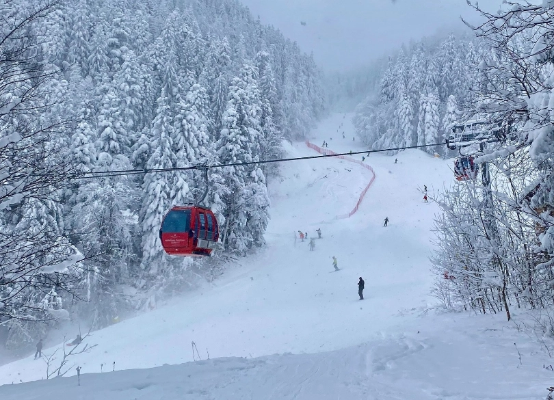 a red gondola travels over a piste, trees around laden with snow