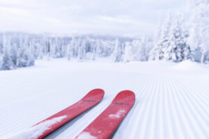 red ski tips on a fresh-groomed piste, snowy trees ahead