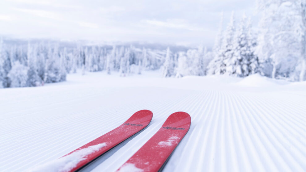 red ski tips on a fresh-groomed piste, snowy trees ahead