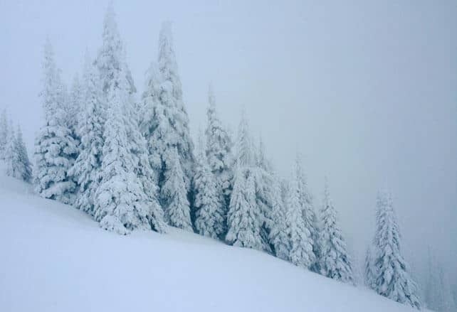 Heavy Snow in Whistler and the Pacific Northwest | Welove2ski