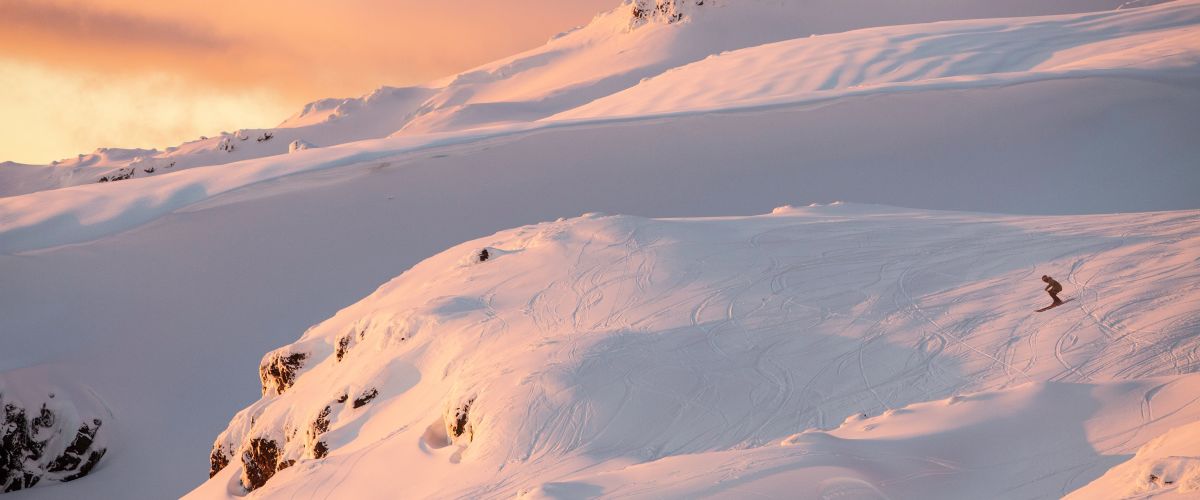 An orange pastel sky casts a golden glow on the snow slopes of Turoa, a tiny skier skiing off piste