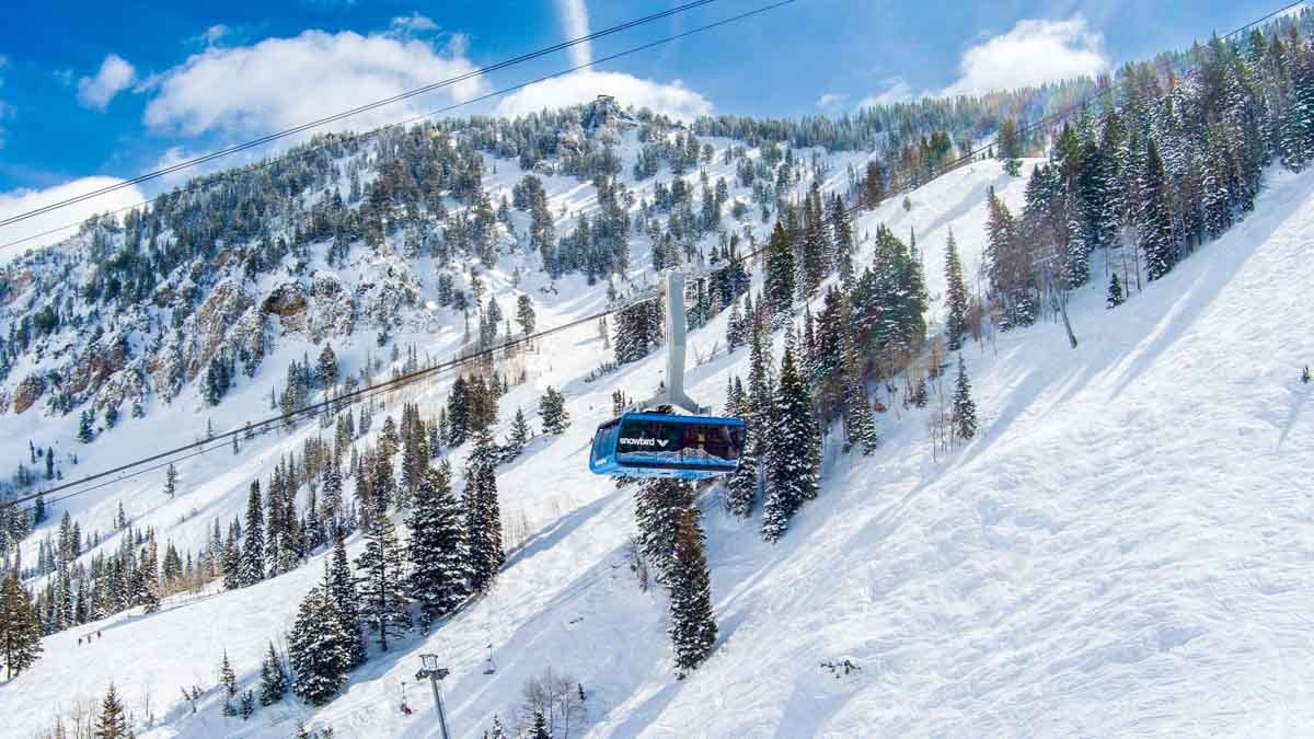 a blue cable car travels over tracked out terrain and trees on a blue-sky day