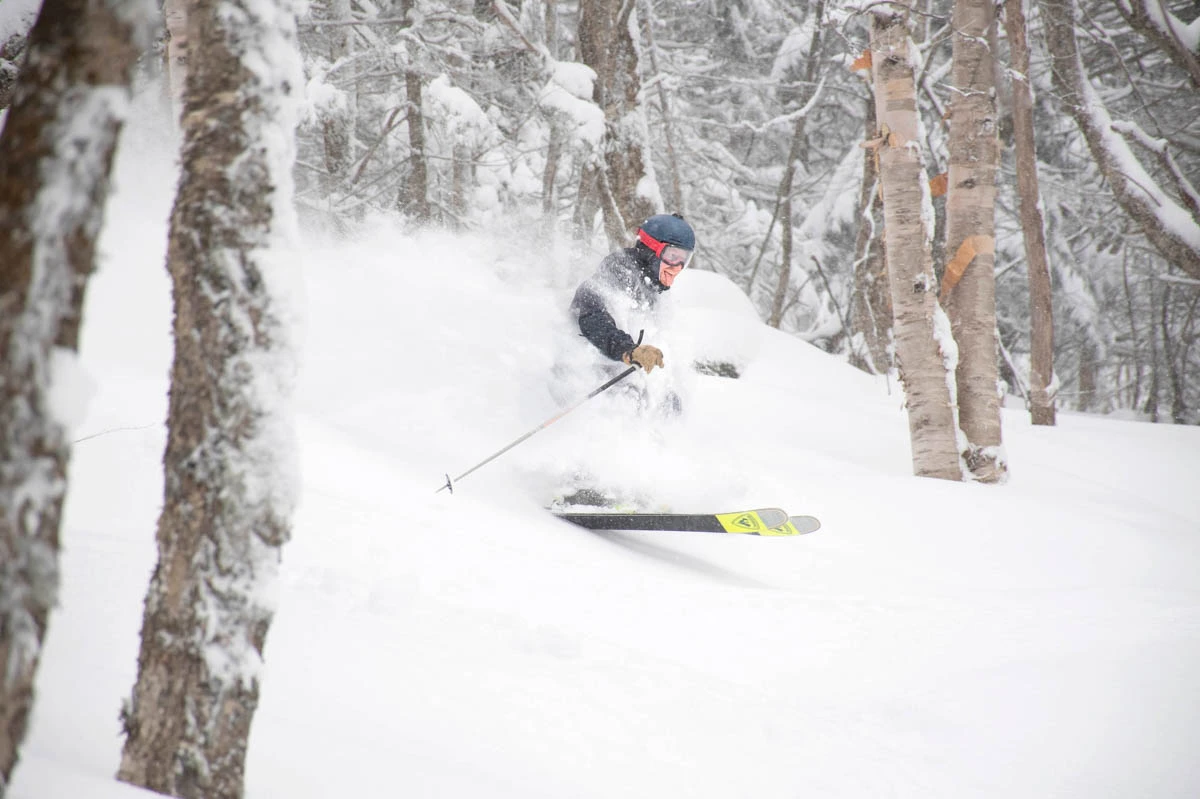 skier in fine powder snow, skiing in the trees off-piste
