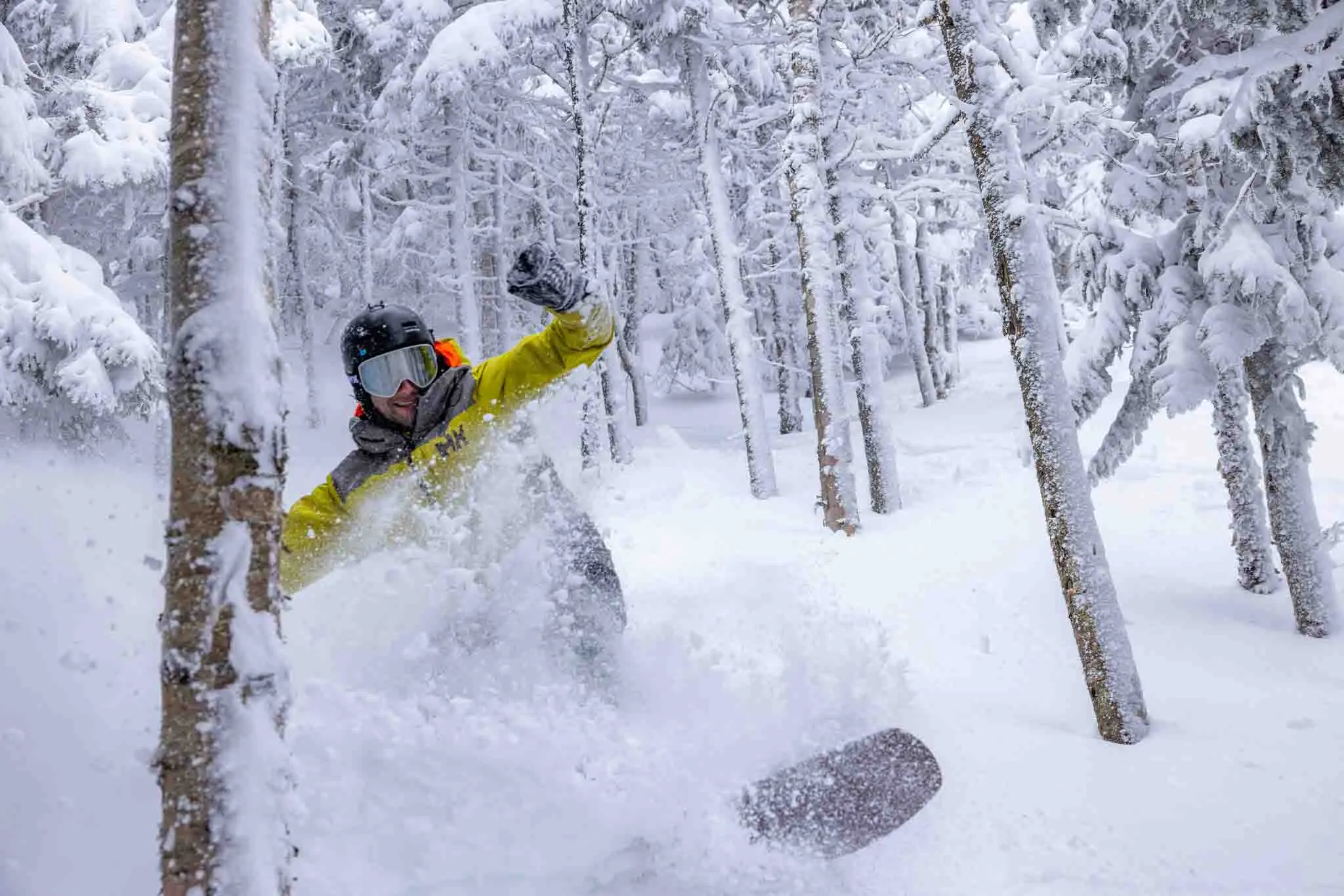 snowboarder navigates deep snow in birch trees