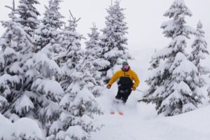 a skier turns between the trees laden with fresh snow