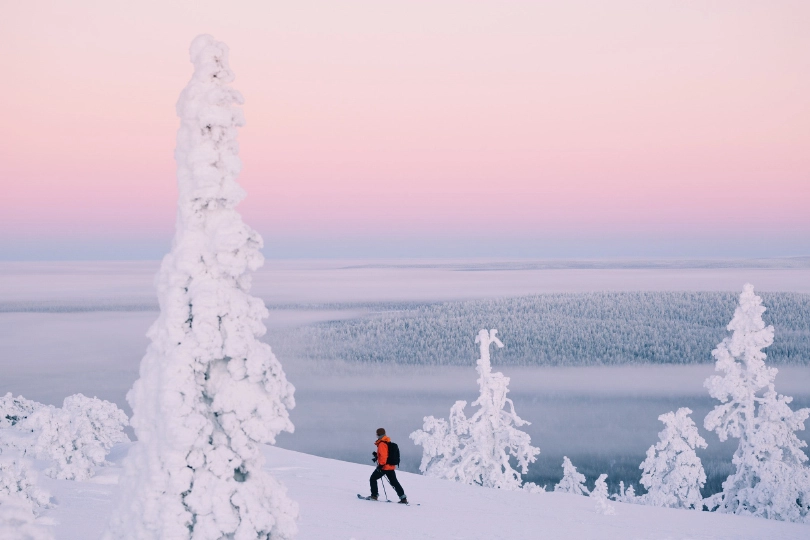 pastel sky in what can only be Scandinavia with snow monsters (trees caked in snow) and a lone skier in red walking uphill (perhaps on snowshoe)